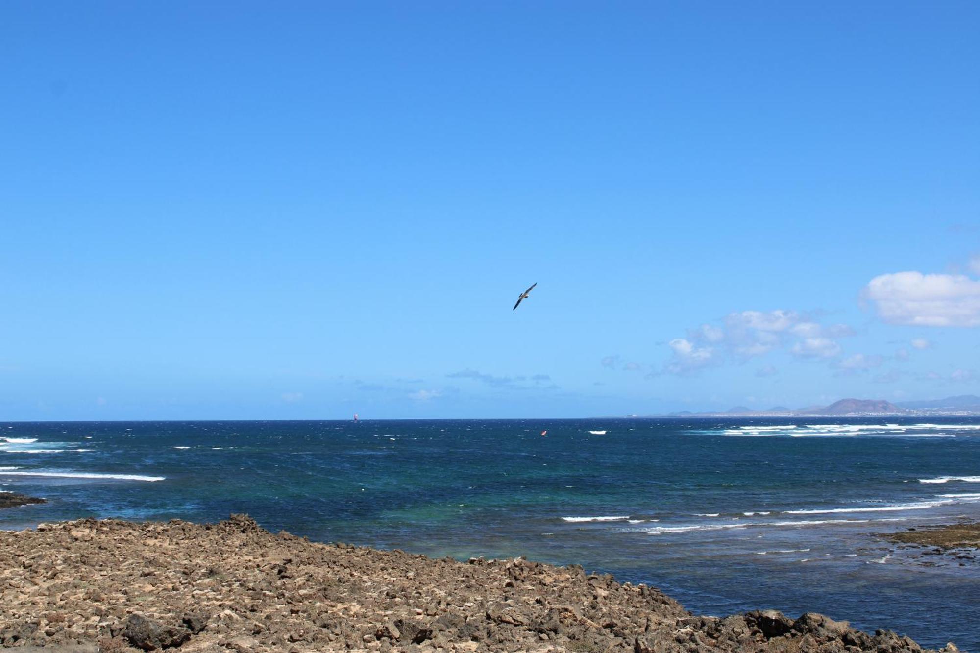La Maresia By Sea You There Fuerteventura Majanicho Zewnętrze zdjęcie